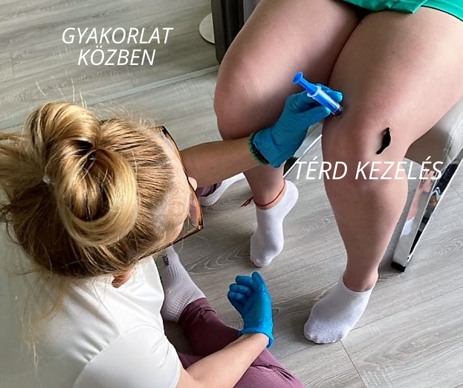 Gyakorlat közben - képek piócás kezelésről és oktatásról